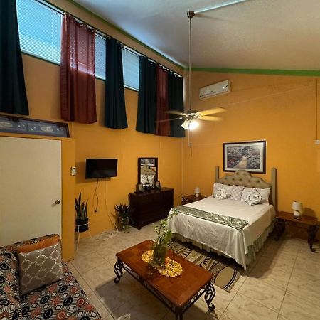 Shalom Suite 2, Manor Park كينغستون المظهر الخارجي الصورة