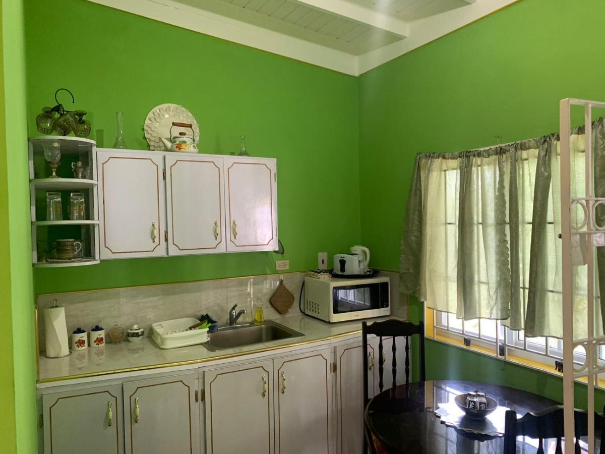 Shalom Suite 2, Manor Park كينغستون المظهر الخارجي الصورة