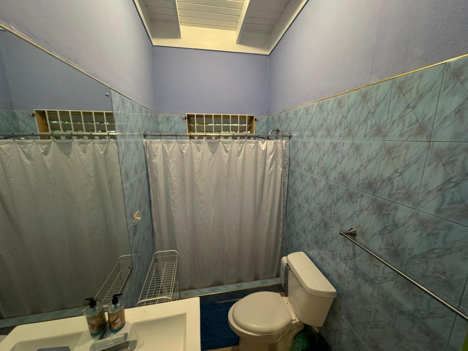 Shalom Suite 2, Manor Park كينغستون المظهر الخارجي الصورة