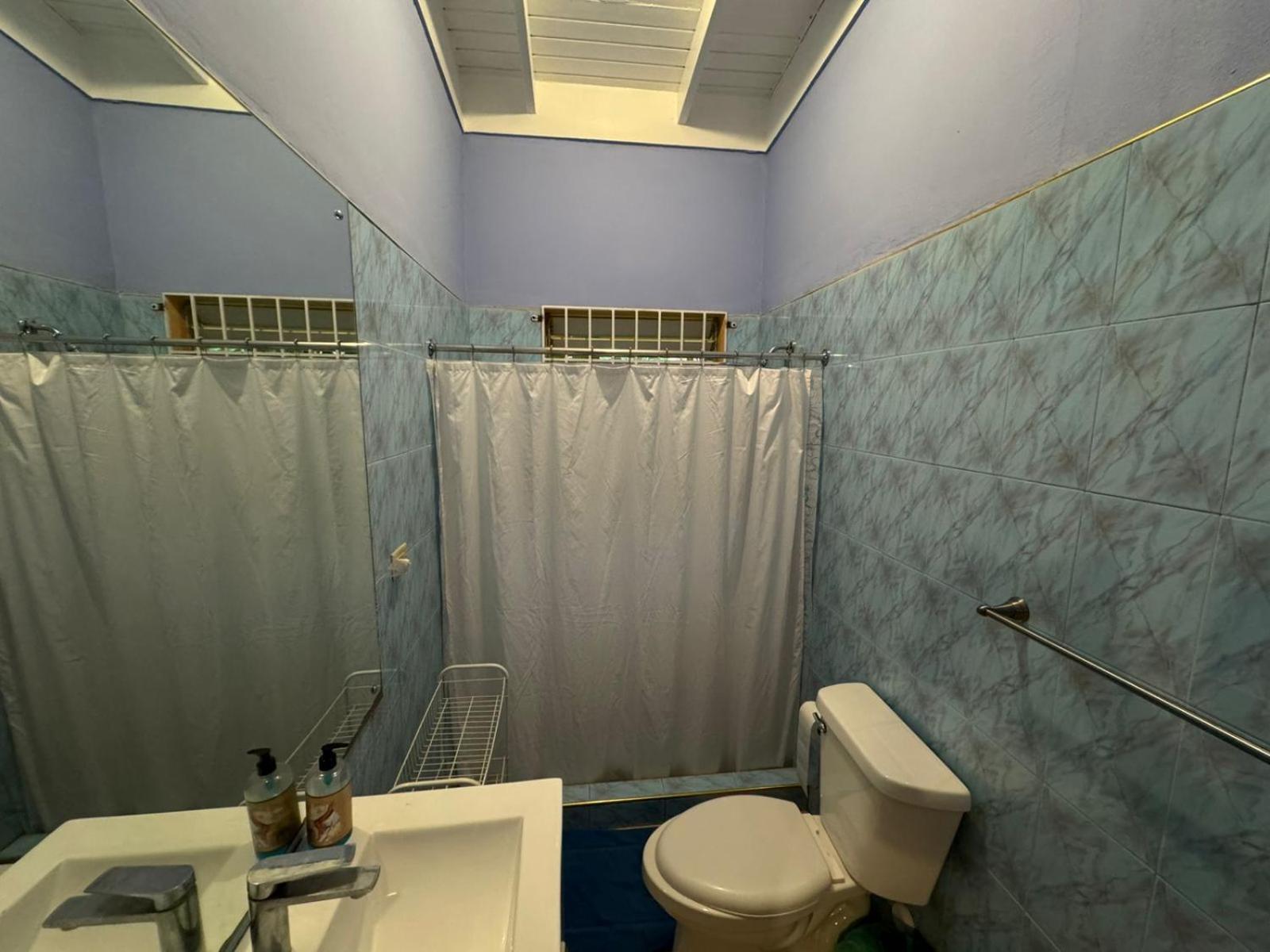 Shalom Suite 2, Manor Park كينغستون المظهر الخارجي الصورة