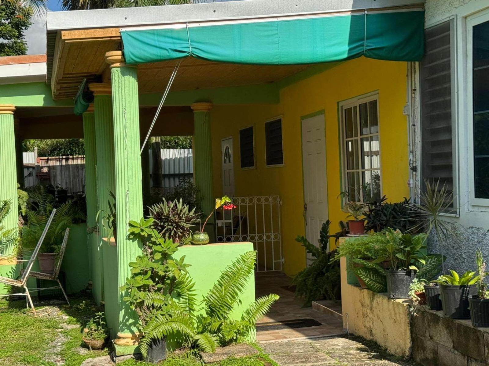 Shalom Suite 2, Manor Park كينغستون المظهر الخارجي الصورة