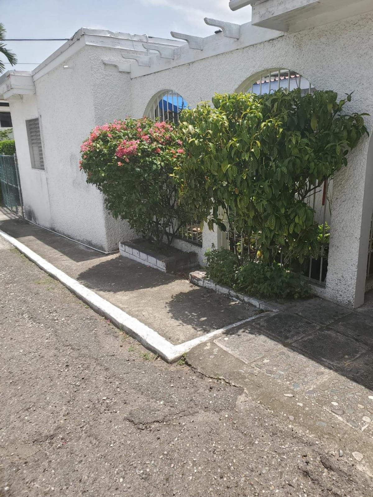 Shalom Suite 2, Manor Park كينغستون المظهر الخارجي الصورة